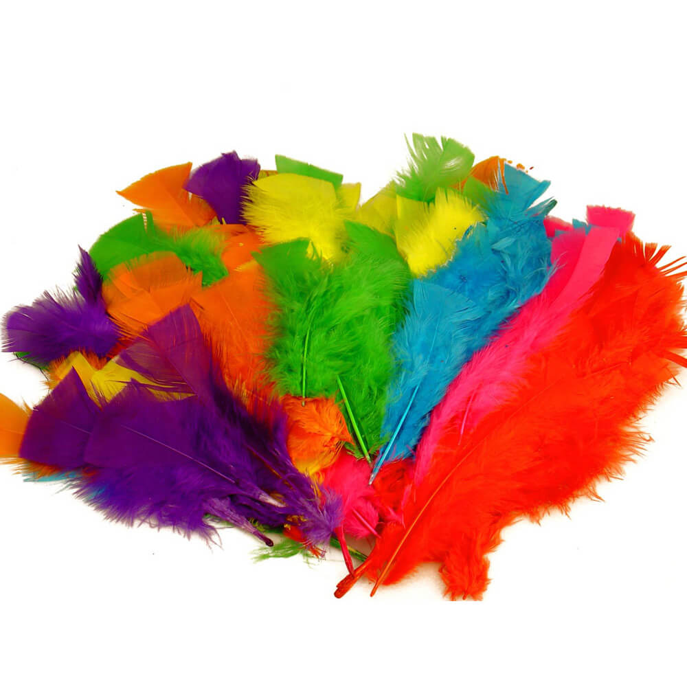 Feathers Large Assorted Colours 30g