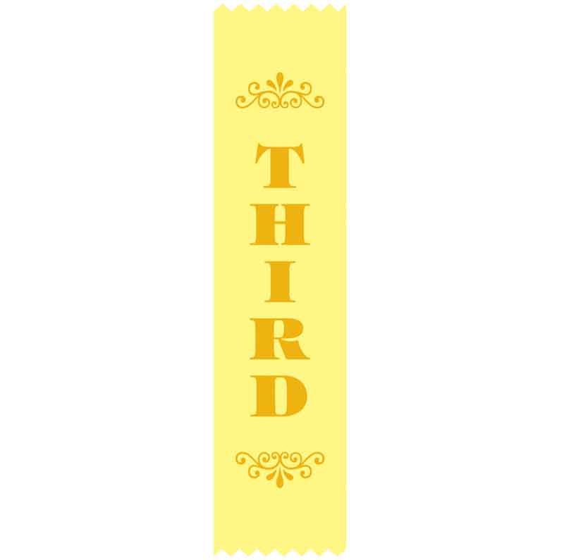 SMS #SR10 3rd Place Satin Ribbons Pack 100
