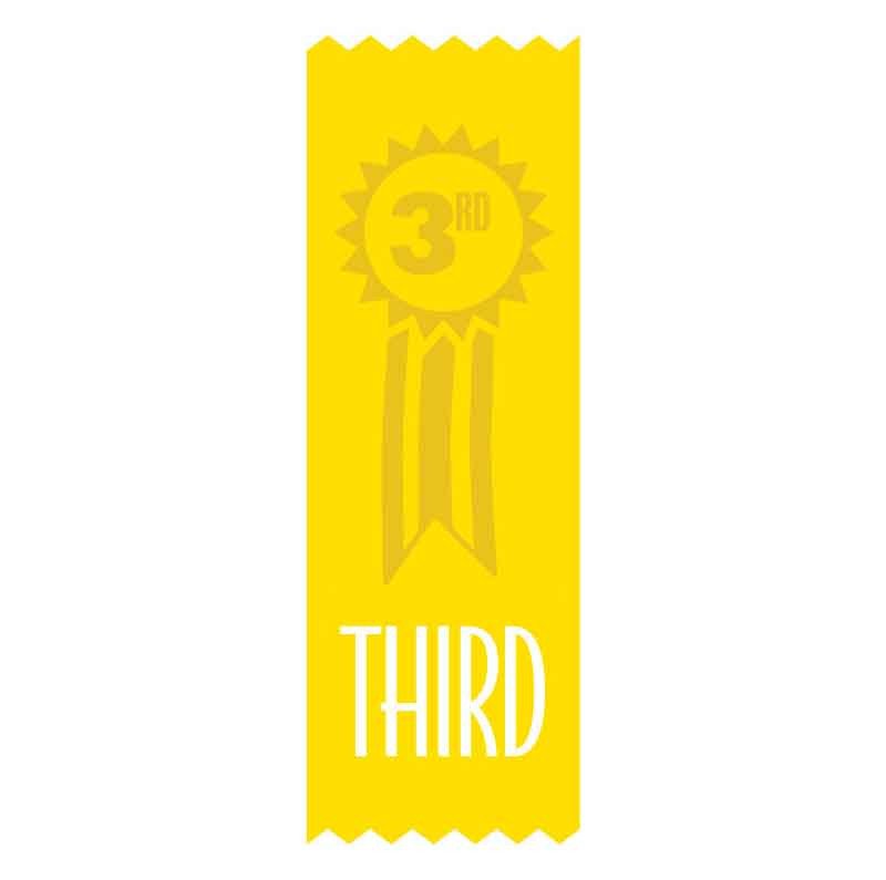 SMS #SR29 3rd Place Vinyl Ribbons Pack 100
