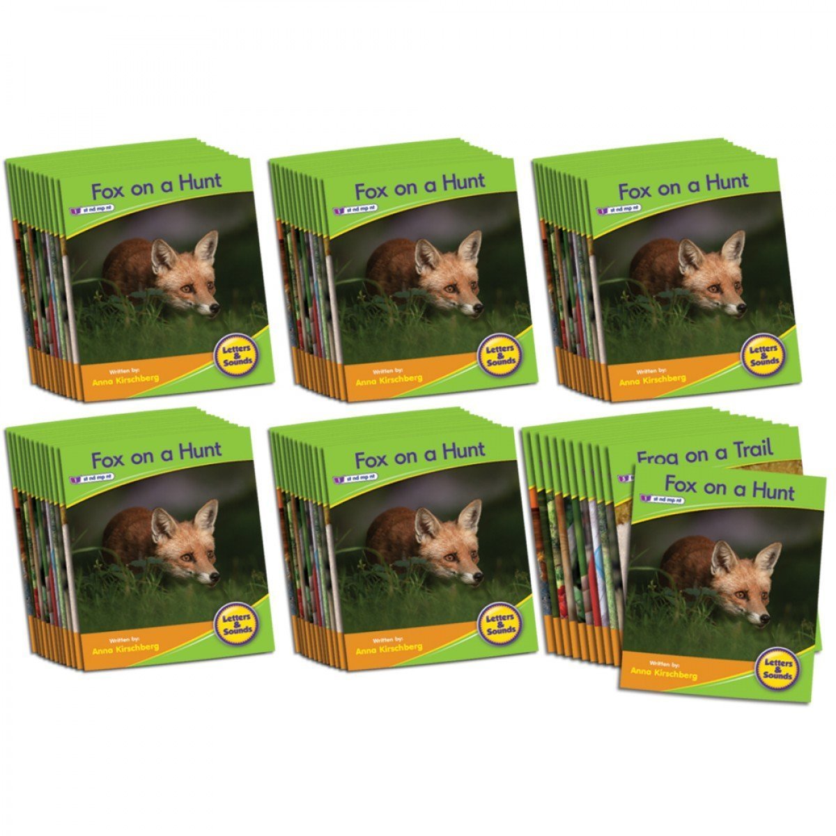 Decodable Readers Phase 4 - Blend Non-Fiction (6-Pack)