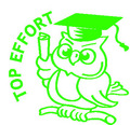 Top Effort Owl Merit Stamp
