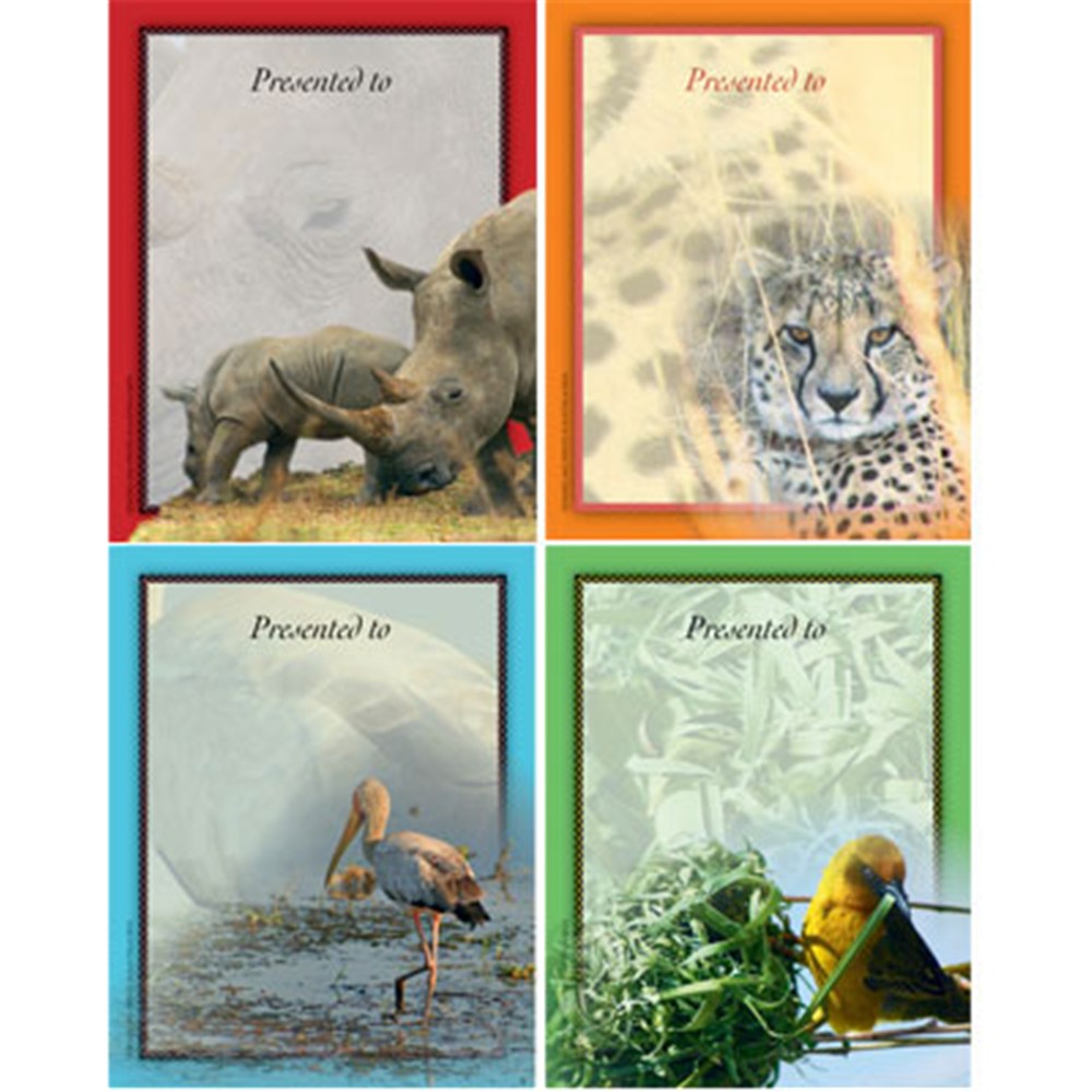 African Safari Bookplates Large Pack 4